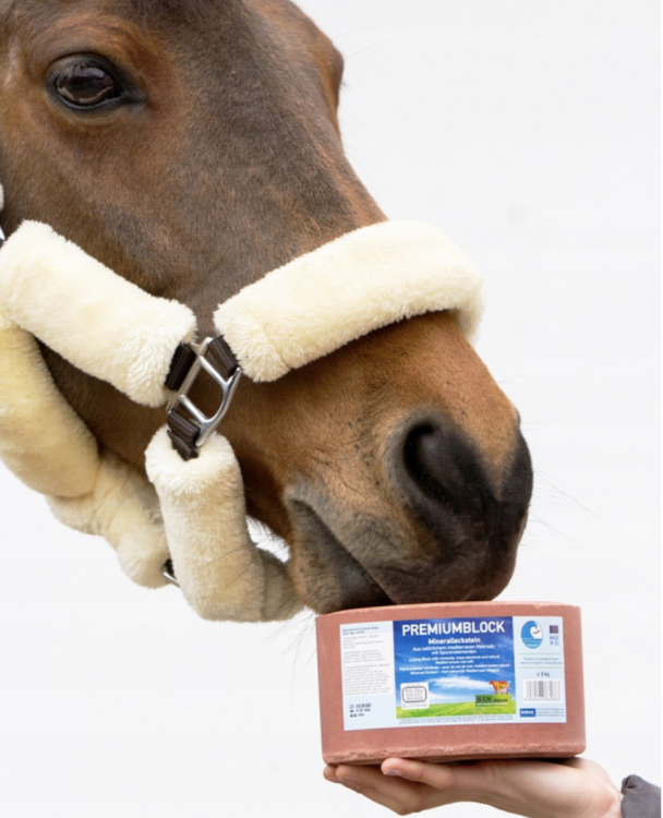 PREMIUMBLOCK  (2).png