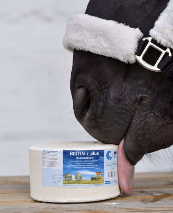 BIOTIN + plus (1).png