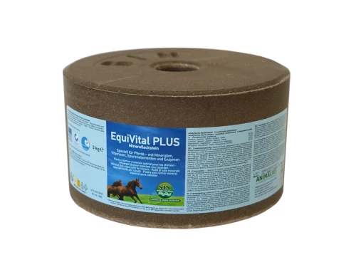 equivital.webp