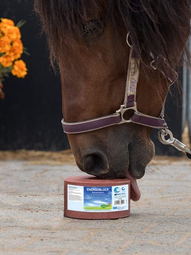 ENERGOBLOCK_QS+horse.jpg
