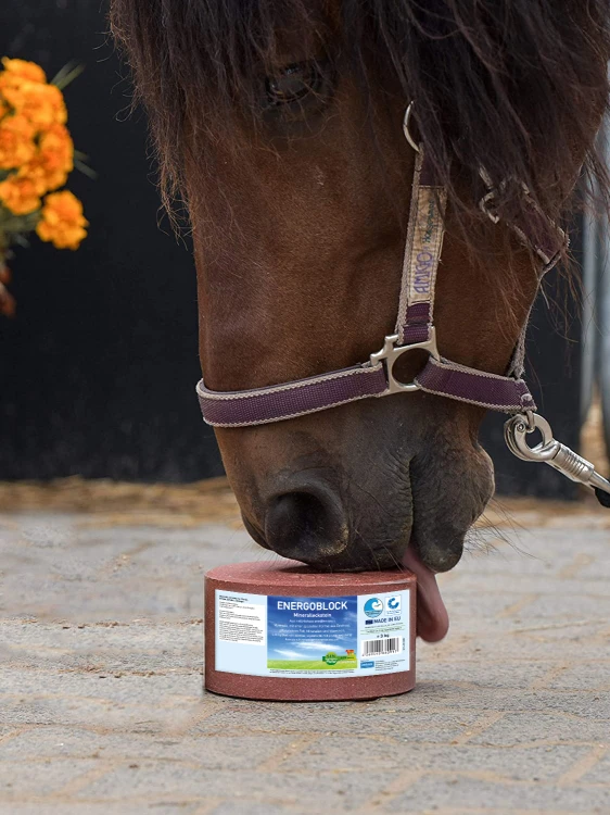 ENERGOBLOCK_QS+horse.jpg
